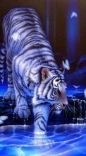 New mobile wallpapers - free download. Pictures, Tigers, Animals picture and image for mobile phones.