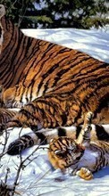New mobile wallpapers - free download. Pictures,Tigers,Animals picture and image for mobile phones.