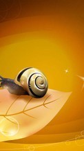 New 800x480 mobile wallpapers Drawings, Snails free download.