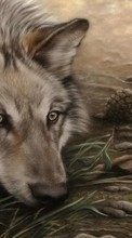 New mobile wallpapers - free download. Pictures, Wolfs, Animals picture and image for mobile phones.