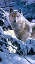 New mobile wallpapers - free download. Pictures,Wolfs,Animals picture and image for mobile phones.