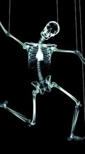 Humor, Skeletons for Samsung B5722