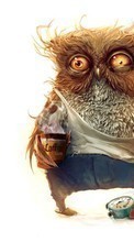 New 540x960 mobile wallpapers Humor, Animals, Owl free download.