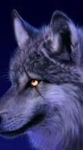 New 720x1280 mobile wallpapers Animals, Wolfs free download.