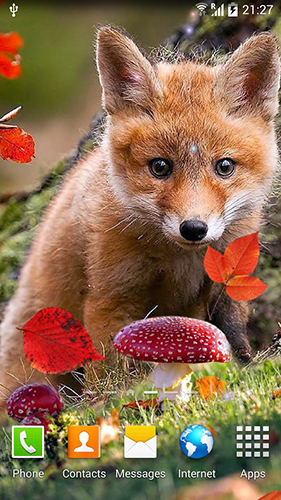Download Autumn by Amax LWPS free Animals livewallpaper for Android phone and tablet.