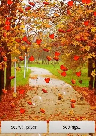 Download livewallpaper Autumn by SubMad Group for Android.