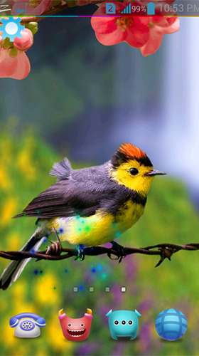 Download livewallpaper Birds 3D by AppQueen Inc. for Android.