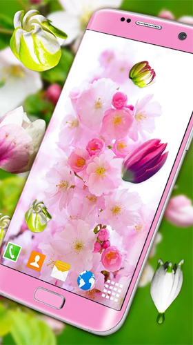 Download livewallpaper Blossoms 3D for Android.