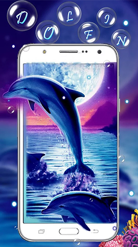 Download livewallpaper Blue dolphin by Live Wallpaper Workshop for Android.