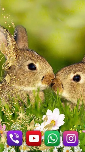 Download livewallpaper Bunnies for Android.