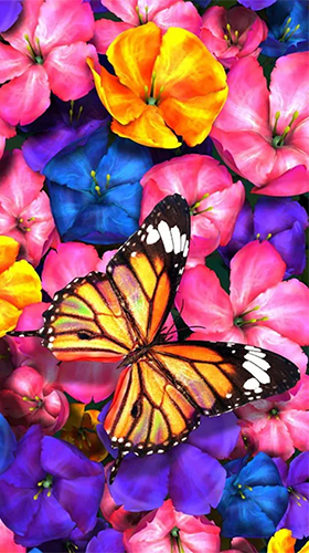 Download livewallpaper Butterfly by HQ Awesome Live Wallpaper for Android.