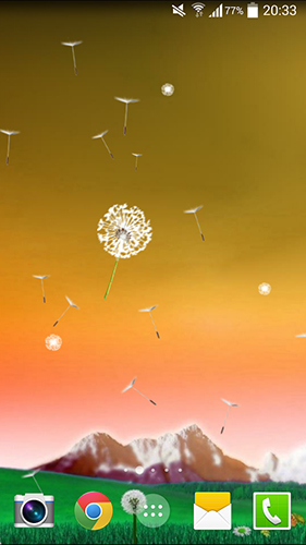 Download livewallpaper Dandelion by Crown Apps for Android.
