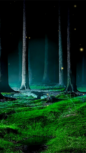 Download livewallpaper Fireflies by Wallpapers and Backgrounds Live for Android.