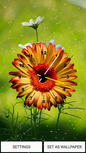 Download livewallpaper Flowers clock for Android.