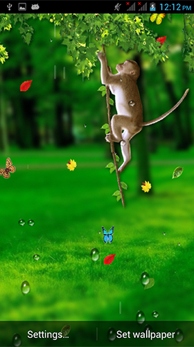 Download Funny monkey by Galaxy Launcher free Animals livewallpaper for Android phone and tablet.