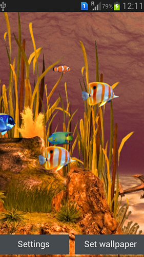 Download livewallpaper Galaxy aquarium for Android.