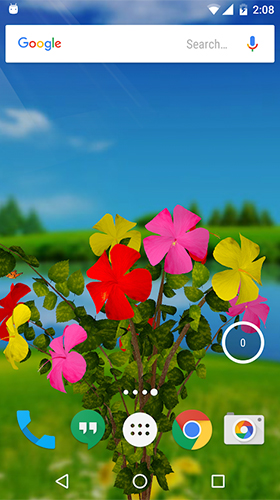 Download Hibiscus 3D free Flowers livewallpaper for Android phone and tablet.