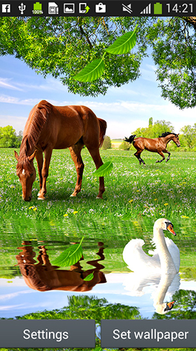 Download Horses by Latest Live Wallpapers free Animals livewallpaper for Android phone and tablet.
