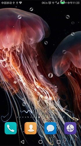 Download Jellyfish by live wallpaper HongKong free Aquariums livewallpaper for Android phone and tablet.