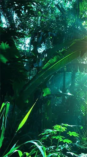 Download Jungle by Pro Live Wallpapers free Plants livewallpaper for Android phone and tablet.