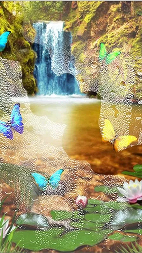 Download livewallpaper Jungle waterfall for Android.