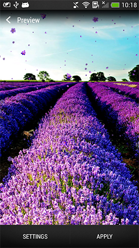 Download livewallpaper Lavender for Android.