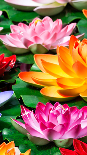 Download livewallpaper Lotus by Latest Live Wallpapers for Android.