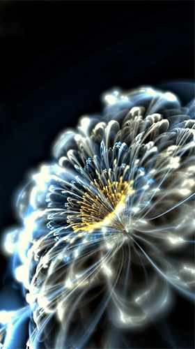 Download livewallpaper Luminous flowers for Android.