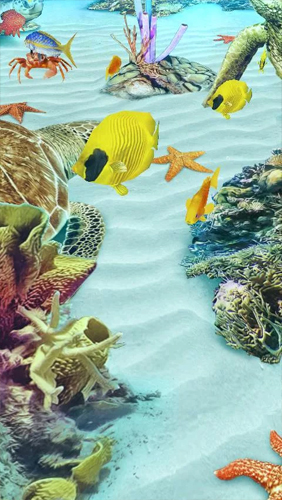 Download livewallpaper Ocean Aquarium 3D: Turtle Isles for Android.