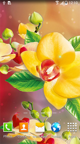 Download livewallpaper Orchids by BlackBird Wallpapers for Android.