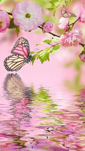 Download Pink butterfly by Live Wallpaper Workshop free Flowers livewallpaper for Android phone and tablet.