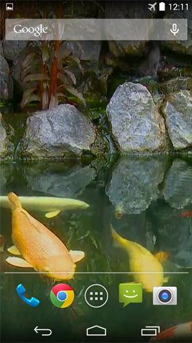 Download livewallpaper Pond with koi by Karaso for Android.