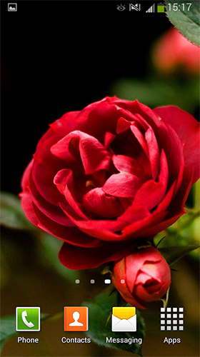 Download livewallpaper Roses by Cute Live Wallpapers And Backgrounds for Android.
