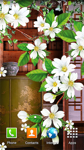 Download Sakura by BlackBird Wallpapers free Flowers livewallpaper for Android phone and tablet.