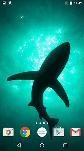 Download Sharks by Fun Live Wallpapers free Animals livewallpaper for Android phone and tablet.