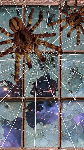 Download livewallpaper Spider by Cosmic Mobile Wallpapers for Android.