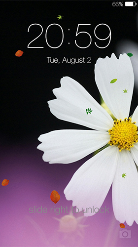 Download Spring by App Free Studio free livewallpaper for Android phone and tablet.
