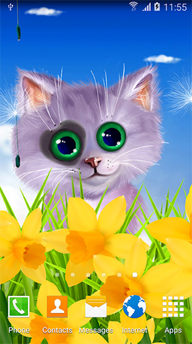 Download livewallpaper Spring cat for Android.