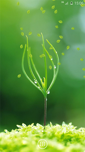 Download livewallpaper Spring greens for Android.