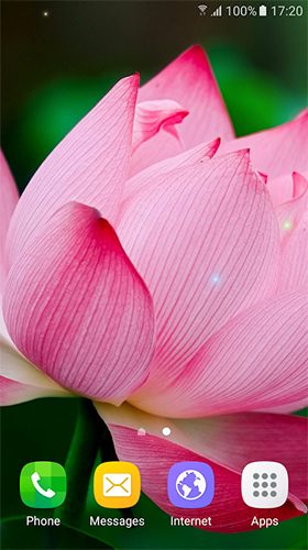 Download livewallpaper Tropical flowers for Android.