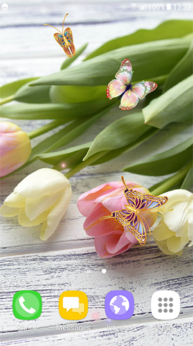 Download Tulips by Live Wallpapers 3D free Flowers livewallpaper for Android phone and tablet.