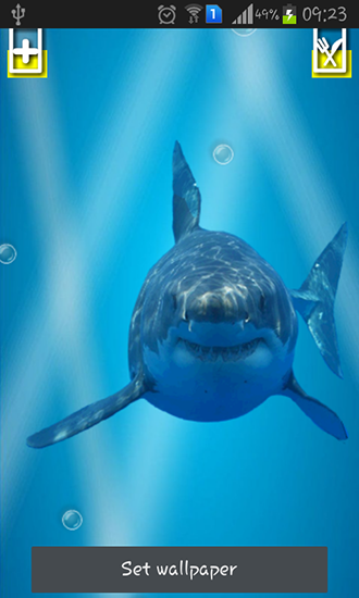 Download livewallpaper Angry shark: Cracked screen for Android.