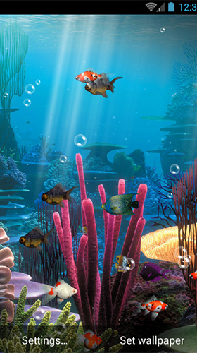 Aquarium by minatodev apk - free download.