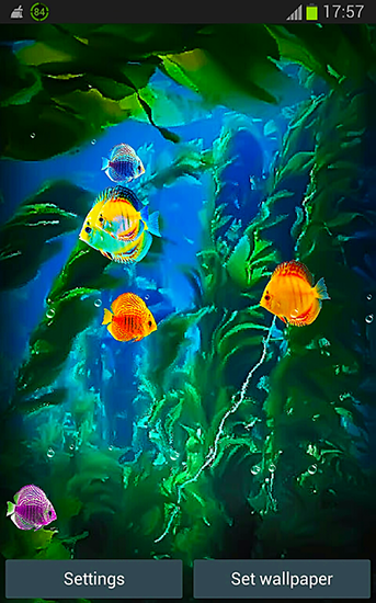 Download livewallpaper Aquarium 3D by Pups apps for Android.
