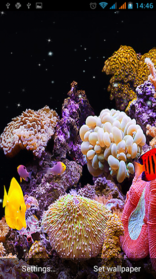 Download livewallpaper Aquarium by Best Live Wallpapers Free for Android.