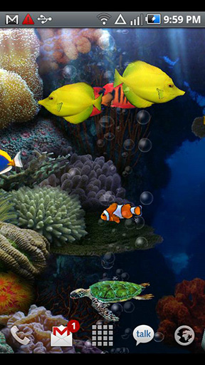 Download livewallpaper Aquarium for Android.