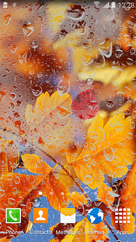 Autumn HD by BlackBird Wallpapers apk - free download.