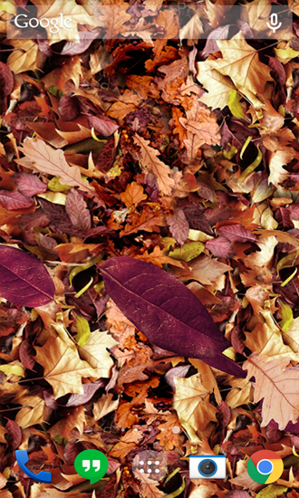 Autumn Leaves apk - free download.