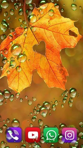 Autumn rain by SweetMood apk - free download.