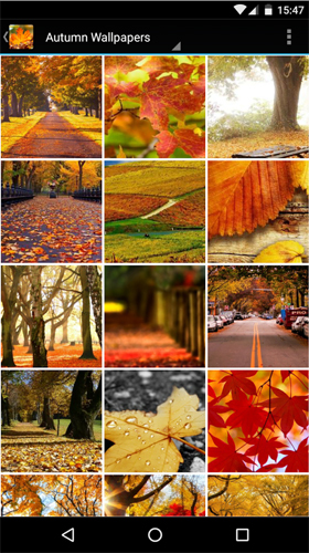 Autumn wallpapers by Infinity apk - free download.